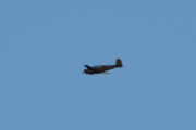 Morten 25 januar 2024 - Saab 91B Safir over Høyenhall