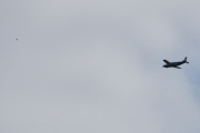Morten 12 juli 2024 - LN-MLM over Høyenhall, den har jeg faktisk ikke tatt bilde av før, men her fikk vi med en fugl. Nå har vi mange varianter av Piper, minst 25 forskjellige