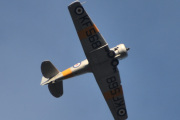Morten 23 juli 2024 - LN-TEX besøker Høyenhall, det er Norwegian Spitfire Foundation som kommer med sin North American T-6G Harvard fra 1944
