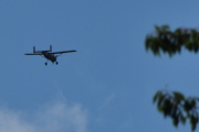 Morten 28 juli 2024 - LN-WNB over Høyenhall, jeg tror ikke jeg har deg med en fugl i juli, og det ble ingen nå heller