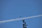Morten 21 juni 2024 - Saab 91B Safir over Høyenhall, og her fikk vi den med jetflystripen også uten en fugl