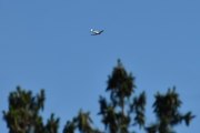 Morten 26 juni 2024 - LN-TEX over Høyenhall, det er Norwegian Spitfire Foundation som er ute med sin North American T-6G Harvard fra 1944. Noen ganger så må jeg spise middag, men jeg så deg 26 juni 2019 også