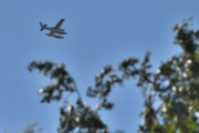 Morten 3 juni 2024 - LN-FFF over Høyenhall, mitt første bilde av dette flyet var 15 september 2019. Jeg skal gå inn og korrigere med en gang før Kilen Sjøflyklubb har åpen dag 8 juni