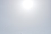 Morten 1 mai 2024 - LN-TEX besøker Høyenhall, men jeg har deg ikke med solen i mai måned og fuglen var ikke i treet denne gangen