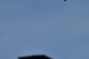 Morten 14 mai 2024 - Cessna over Høyenhall, men jeg fikk med en fugl som er under pipa. Jeg tok bilde av Cessna 172 den 14 mai 2023 også