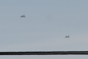 Morten 14 mai 2024 - To jagerfly over Høyenhall, dessverre alt for langt borte og strømkabelen var i veien
