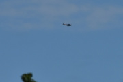 Morten 25 mai 2024 - LN-TEX over Høyenhall, det er Norwegian Spitfire Foundation som er ute med sin North American T-6G Harvard fra 1944. Selv om jeg blir blind så skal jeg klare å ta bilder av dette flyet her
