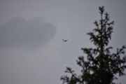 Morten 27 mai 2024 - Diamond DA-40 NG over Høyenhall, ferdig hos tannlegen og dette må være Oslo Flyveklubb med sin Mike eller Sierra