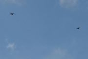 Morten 28 mai 2024 - To jagerfly over Høyenhall, innen 2025 skal Norge ha 52 av disse. Jeg tror jeg så en 12 august 2022 også