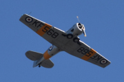 Morten 3 mai 2024 - LN-TEX besøker Høyenhall, det er Norwegian Spitfire Foundation som avlegger meg et besøk med sin North American T-6G Harvard fra 1944