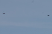Morten 4 mai 2024 - To småfly over Høyenhall, dem var tre Van´s den dagen og ingen hadde nesehjul