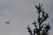 Morten 11 oktober 2024 - LN-KCA over Høyenhall, nå bare tenker jeg høyt. I over 100 år har det vært sjøfly i Kilen, som i dag representerer det siste levende elementet fra da Fornebu var landets hovedflyplass. Da ble noen av flyene på Fornebu flyttet til Kjeller flyplass...