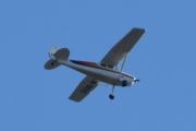 Morten 1 september 2024 - LN-BDO besøker Høyenhall, det er Gaute som kommer med sin Cessna 170B fra 1956