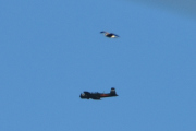Morten 1 september 2024 - LN-WNC over Høyenhall, og her kommer den