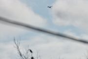 Morten 15 september 2024 - LN-NRO over Høyenhall, det nærmeste jeg kommer her er 14 september 2019, men det var over Oslofjorden