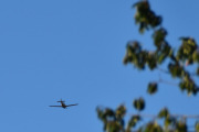 Morten 28 september 2024 - LN-BII over Høyenhall