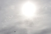 Morten 1 april 2025 - LN-NFW besøker Høyenhall, men jeg var på tur til Notodden 3. september 2023 og da så jeg et sjøfly bak noen busker som ligner. Her fikk vi med solen også