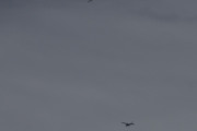 Morten 18 april 2025 - Cessna over Høyenhall