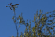 Morten 26 april 2025 - LN-KCA over Høyenhall, og her sitter det faktisk to fugler i treet, det er skjærer