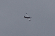 Morten 5 april 2025 - LN-TFU over Våler i Solør, det er Innlandet Flyklubb og Flyskole som er ute med sin Piper PA-28-181 Archer III fra 1999