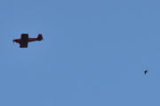 Morten 13 august 2025 - LN-AKH over Høyenhall, jeg husker 31 august 2022, da var han litt nærmere