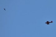Morten 13 august 2025 - LN-AKH over Høyenhall, men vi har også 9 januar 2021, når han fløy sammen med Morten i sin LN-RAF som også er en Van´s RV-4