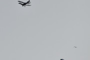 Morten 13 august 2025 - LN-MAX over Høyenhall, det er Nedre Romerike Flyklubb Veteranflygruppa som kommer med sin DeHavilland DH-82A Tiger Moth nr. 127 fra 1941