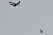 Morten 13 august 2025 - LN-MAX over Høyenhall, det er mulig at jeg er litt overivrig på bryllupsdagen min