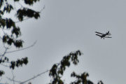 Morten 13 august 2025 - LN-MAX over Høyenhall, så inntil videre så tar jeg bare bilder - så må jeg skrive litt mer etterpå under bildene. Er det ikke dette vi kaller etterklokskap...
