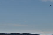 Morten 16 august 2025 - LN-YJW over Drøbak, jeg følger en SAR Queen over Drøbaksundet og tror jeg fikk den med en fugl. Så jeg snur ryggen til...