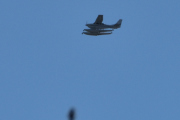 Morten 17 august 2025 - Sjøfly over Høyenhall, jeg så et sjøfly den 27 mai 2018 som lignet denne, men den het N3547T