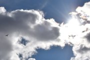 Morten 22 august 2025 - LN-SIA besøker Høyenhall, det er Sameiet Interstate Cadet vi får sammen med solen. Det har vi ikke fått til før