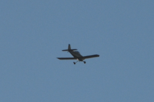 Småfly 2025 februar