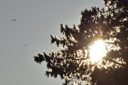Morten 10 januar 2025 - LN-NRO over Høyenhall, jeg så dem 19 januar 2020 og 3 januar 2023 også, men fikk ikke med solen da