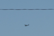 Morten 4 januar 2025 - Småfly over Høyenhall, det er veldig kaldt i dag, så det første flyet jeg ser - bommet jeg på. Kanskje Cessna...