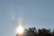 Morten 28 juli 2025 - LN-TEX over Høyenhall, og her fikk vi med kveldsolen også