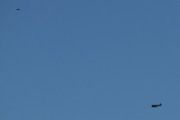 Morten 10 juli 2025 - LN-TEX over Høyenhall, det er Norwegian Spitfire Foundation som er ute med sin North American T-6G Harvard fra 1944. Nå var det på tide med en fugl igjen