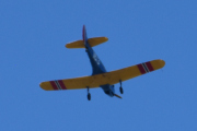 Morten 11 juli 2025 - LN-BIF besøker Høyenhall, det er Nedre Romerike Flyklubb Veteranflygruppa som kommer med sin Fairchild PT-19A Cornell M-62A nr.163 fra 1944