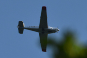 Morten 12 juli 2025 - LN-MAZ over Hvitsten, vi tar oss en tur på hytta og der ser jeg Sameiet LN-MAZ med sin Saab 91D Safir fra 1962. Ikke lett å ta bilder her, det er mye trær her