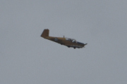 Morten 14 juli 2025 - LN-LFK og fuglene over Høyenhall, det er LFK Flyhobbyklubb som er ute med sin Saab 91B-2 Safir fra 1957
