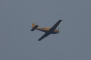 Morten 14 juli 2025 - LN-LFK og fuglene over Høyenhall, dem er vanligvis ikke over her i juli, har ingen bilder fra tidligere år