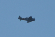 Morten 19 juli 2025 - LN-TEX over Høyenhall, det er Norwegian Spitfire Foundation som er ute med sin North American T-6G Harvard fra 1944. Det er sikkert mange som har kjøpt seg en flytur nå i ferien