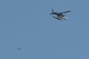 Morten 20 juli 2025 - LN-XXA over Høyenhall, mens den får besøk av fuglen skal vi se om vi finner noen bilder i juli. Det har jeg ikke selv om jeg har over 60 bilder av den