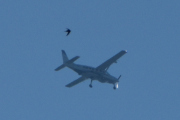 Morten 25 juli 2025 - OY-ZCA over Høyenhall, nærmere får jeg ikke fuglen. Så her blir det like vanskelig som med TerraTec og Field Group og Field Geospatial