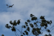 Morten 4 juli 2025 - LN-FTM over Høyenhall, jeg har 77 bilder av dette flyet med fugler, men ikke denne gangen
