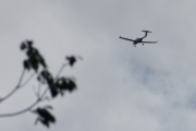 Morten 4 juli 2025 - LN-FTM over Høyenhall, men 545 bilder så kan dette bli en flybok. Nå fikk jeg en ide gitt