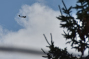 Morten 4 juli 2025 - LN-FTM over Høyenhall igjen, så det er mulig at flysiden min ikke er helt bortkasta da