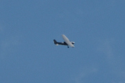 Morten 6 juli 2025 - Cessna over Høyenhall, har jeg sett en Cessna på bursdagen min før? Jo da, den 6 juli 2021 og 6 juli 2024