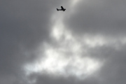 Morten 9 juli 2025 - LN-TFK over Høyenhall, det er Tønsberg Flyveklubb vi får sammen med det som er av solen akkurat nå