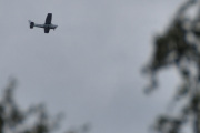 Morten 9 juli 2025 - LN-TFK over Høyenhall, her må jeg ha noen bilder fra juli. Ja, den 25 juli 2021, det var vel da jeg bestemte meg for å kjøpe et gavekort og fly med deg